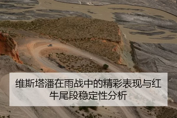 维斯塔潘在雨战中的精彩表现与红牛尾段稳定性分析