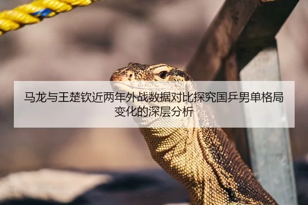马龙与王楚钦近两年外战数据对比探究国乒男单格局变化的深层分析