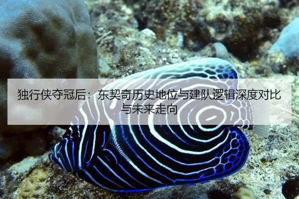 独行侠夺冠后：东契奇历史地位与建队逻辑深度对比与未来走向