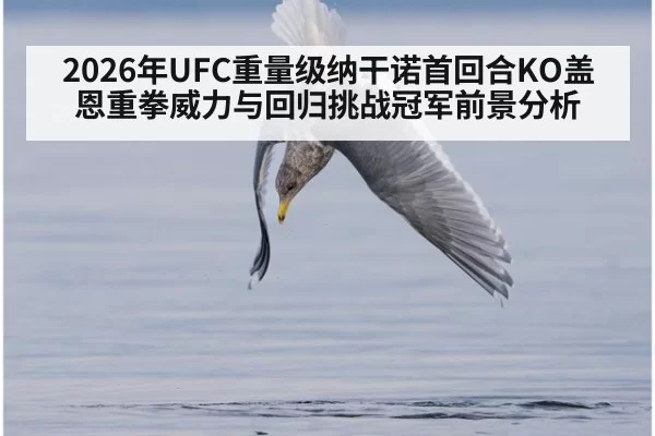 2026年UFC重量级纳干诺首回合KO盖恩重拳威力与回归挑战冠军前景分析