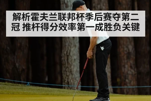 解析霍夫兰联邦杯季后赛夺第二冠 推杆得分效率第一成胜负关键